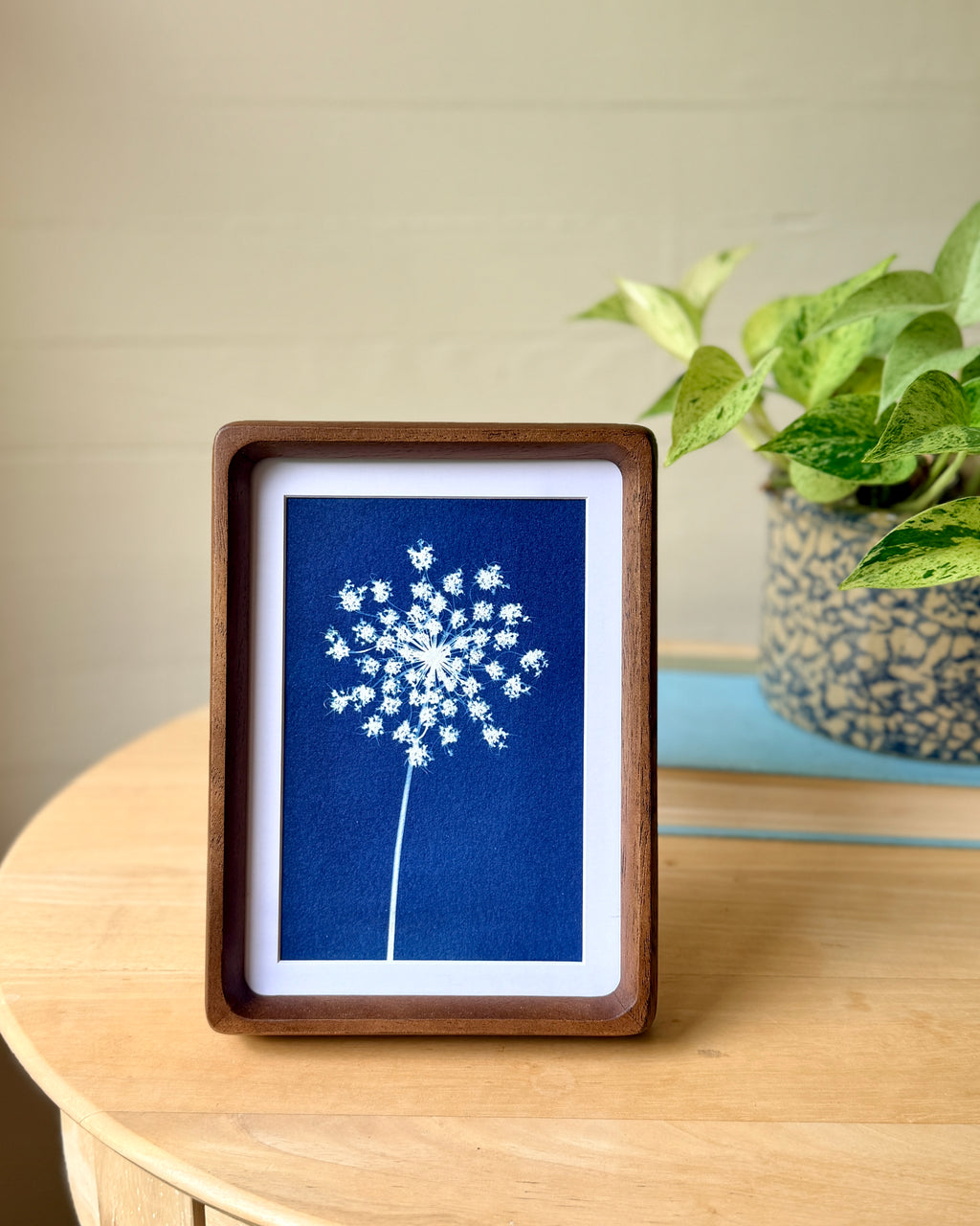 Little Lace no. 1