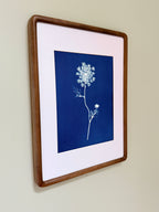 Quiet Lace no. 1