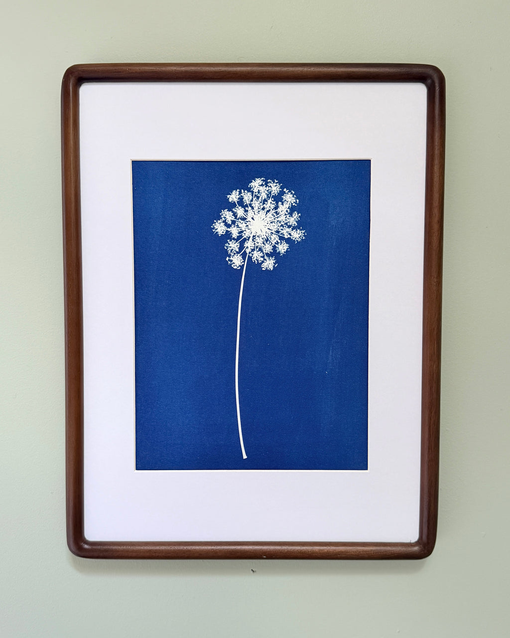 Quiet Lace no. 2