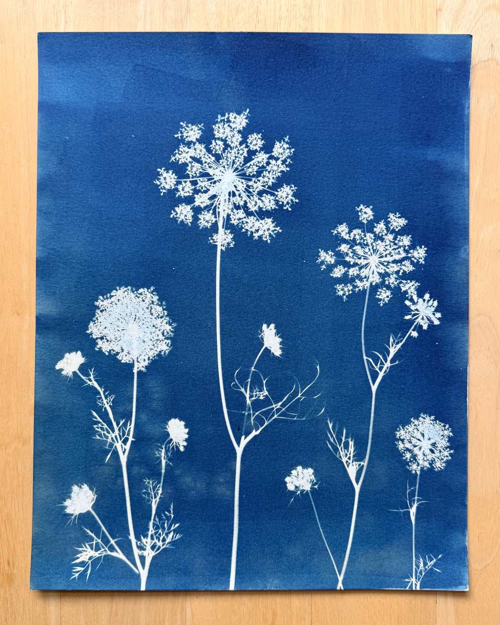 Meadow Lace no. 1