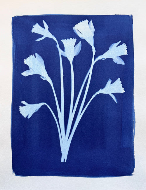 Daffodil Bouquet no. 2