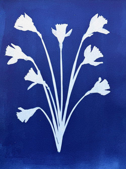 Daffodil Bouquet