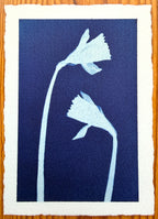 Daffodil Daughter