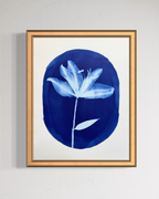 Portrait of a Lily no. 2
