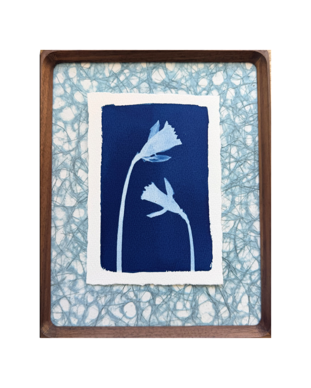 Daffodil Daughter no. 2