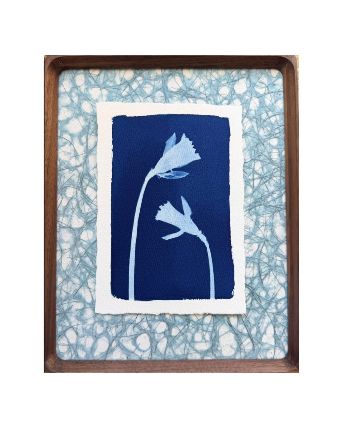 Daffodil Daughter no. 2