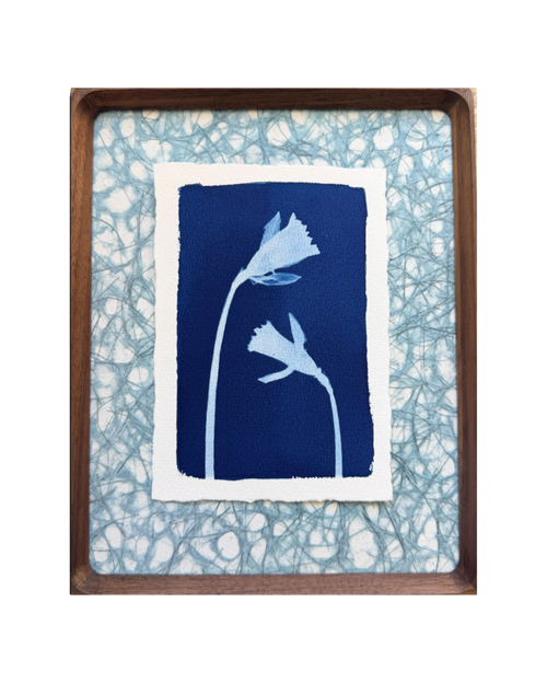 Daffodil Daughter no. 2