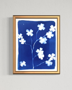Dogwood in Bloom no. 2