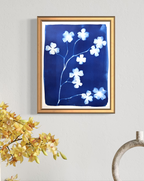 Dogwood in Bloom no. 1