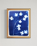 Dogwood in Bloom no. 1