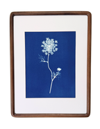 Quiet Lace no. 1