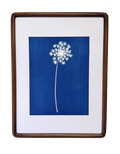 Quiet Lace no. 2