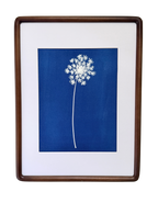 Quiet Lace no. 2