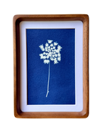 Little Lace no. 3