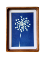 Little Lace no. 1