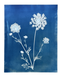 Meadow Lace no. 2