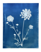Meadow Lace no. 2