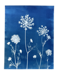 Meadow Lace no. 1