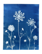 Meadow Lace no. 1
